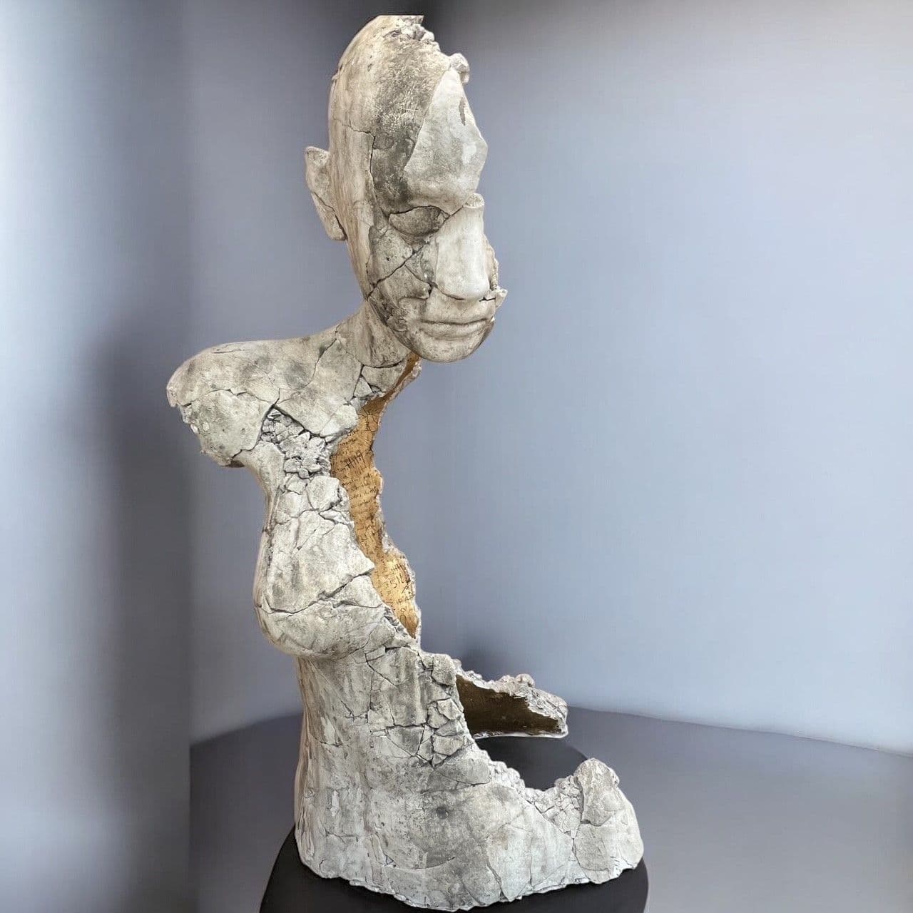 EXUVIA MISSING - Tania Font - 1