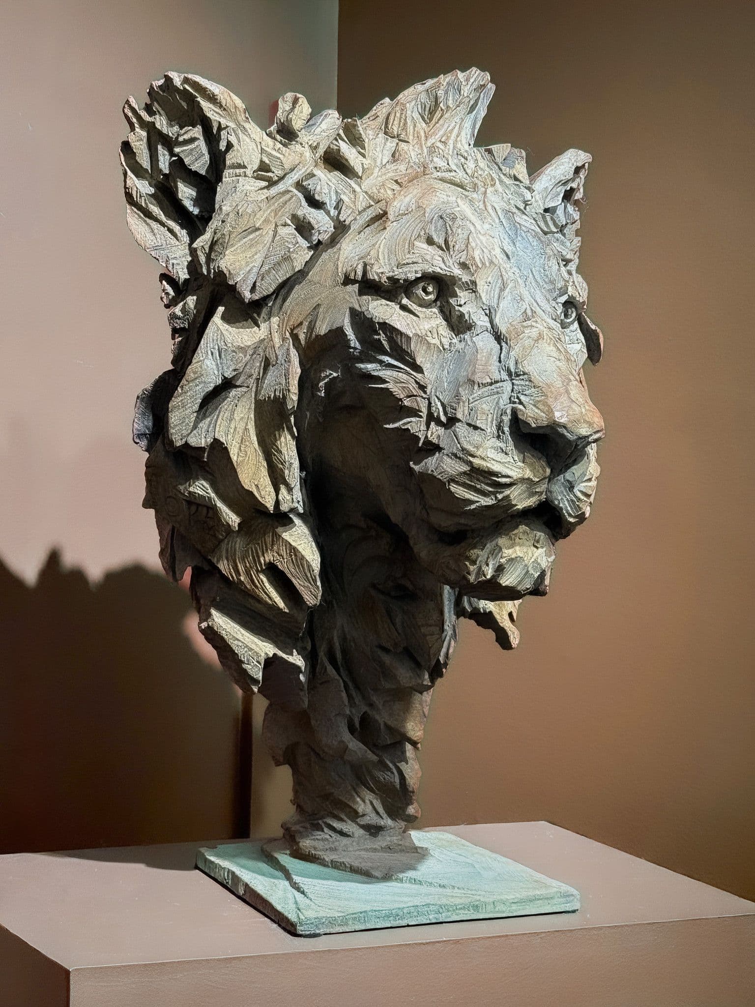 KIMBA - Jurgen Lingl - 3