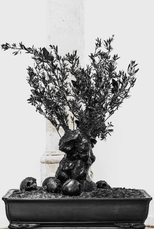 Black Skull Olive Tree - PHILIPPE PASQUA - 1