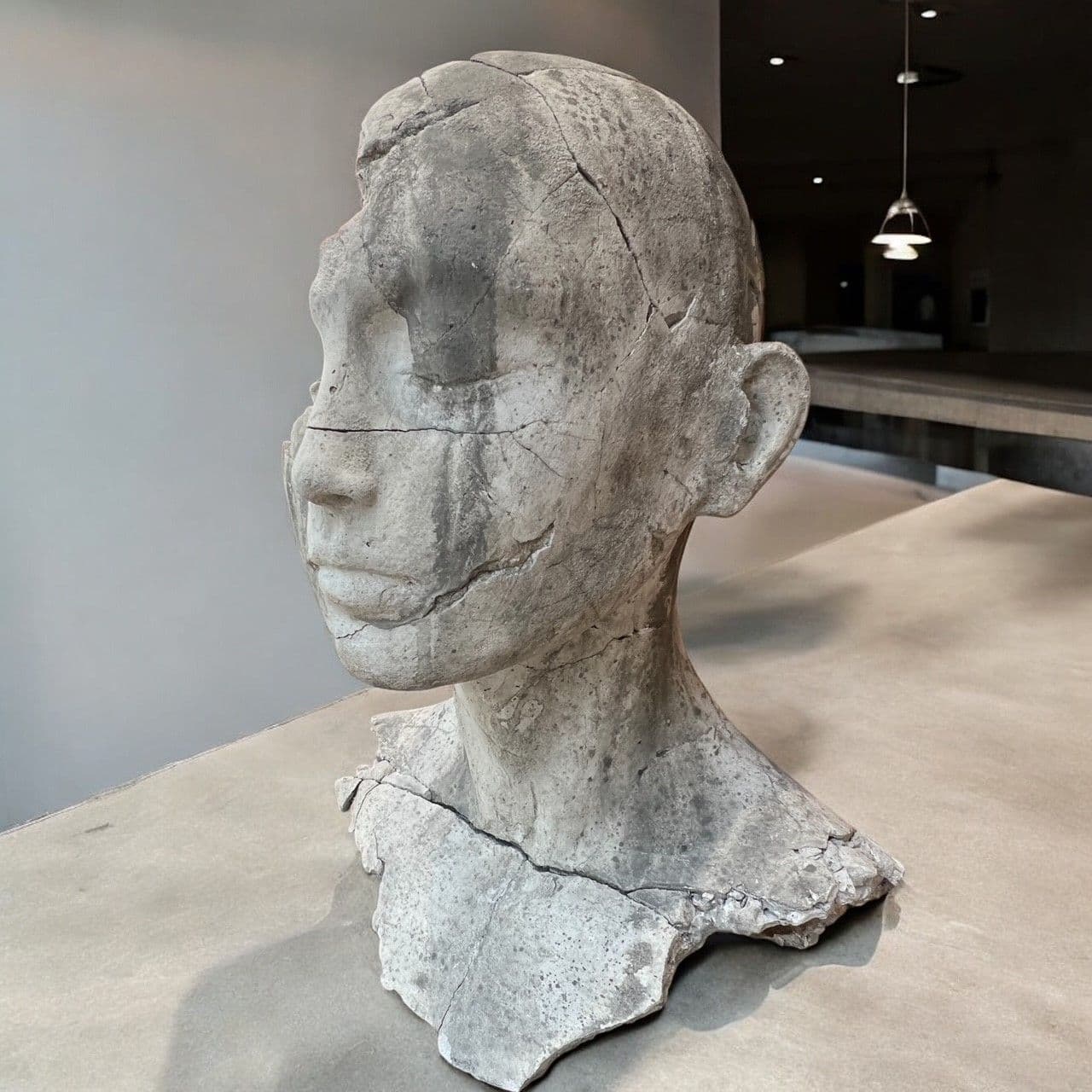 EXUVIA II - Tania Font - 2