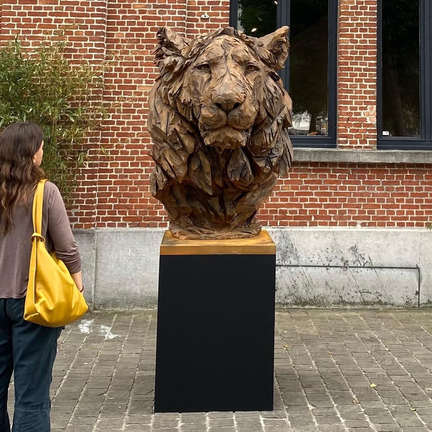 BIG LION KING - Jurgen Lingl - 3