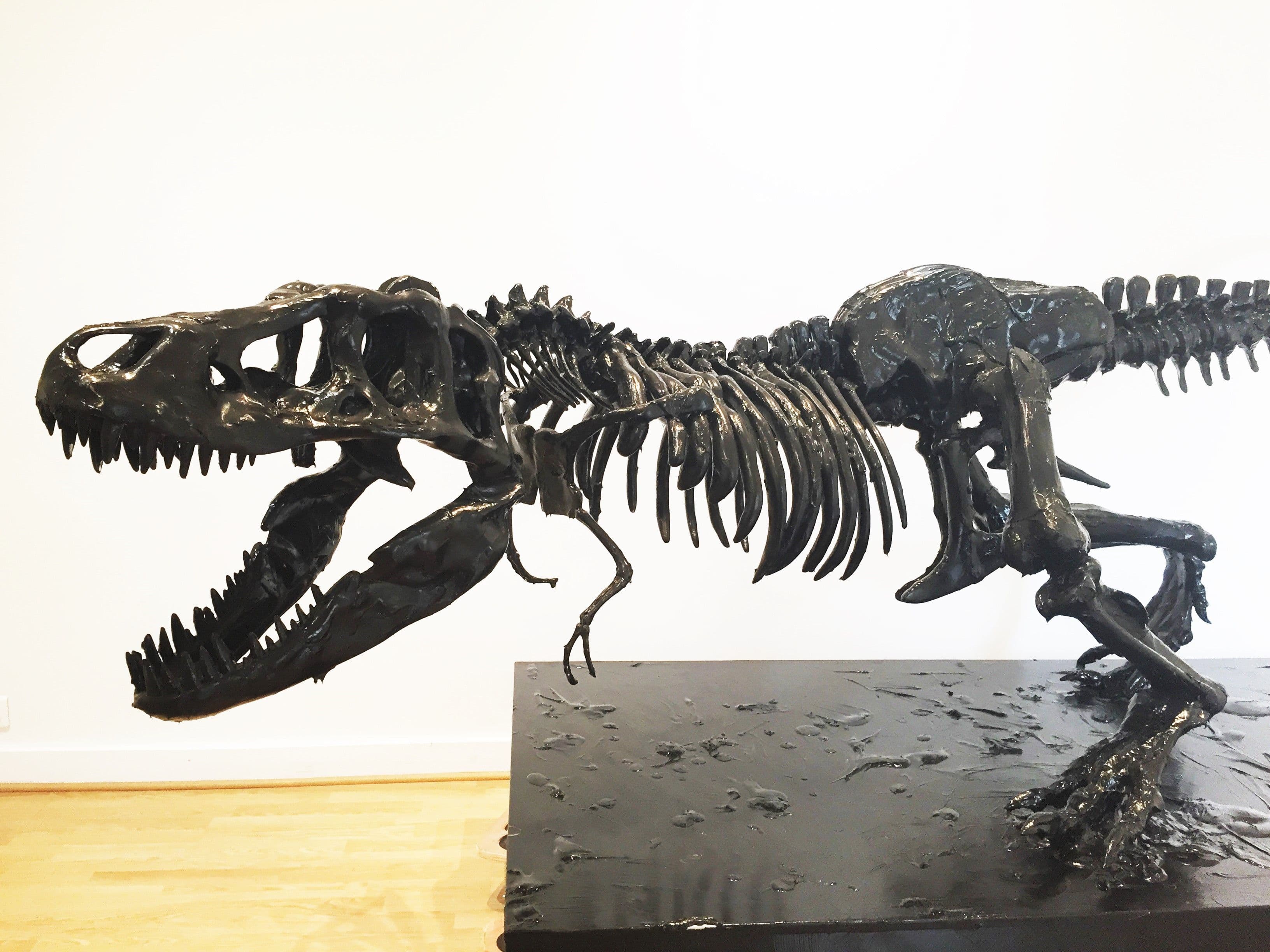 T-REX - PHILIPPE PASQUA - 3