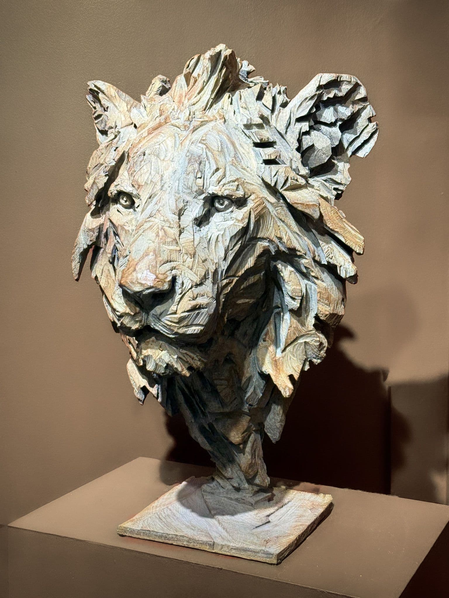 KIMBA - Jurgen Lingl - 1