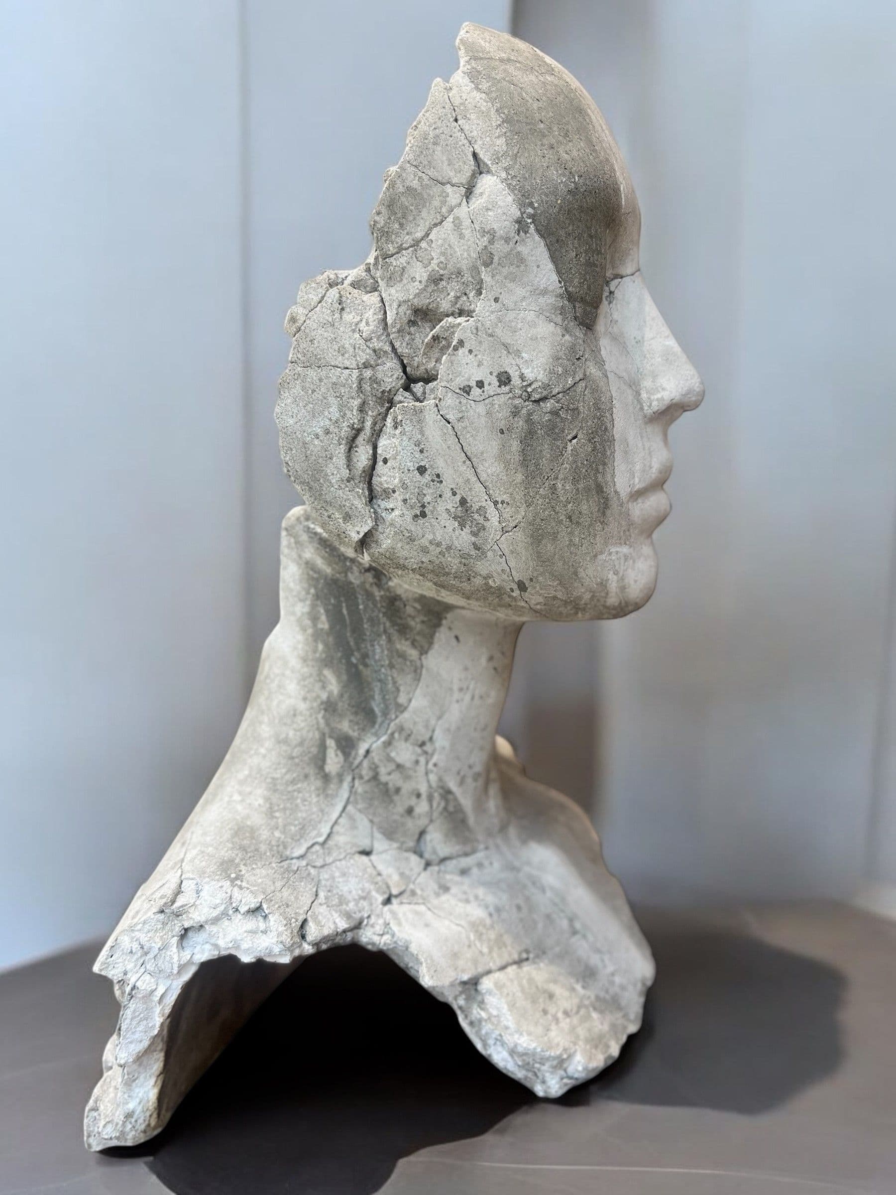 EXUVIA I - Tania Font - 2