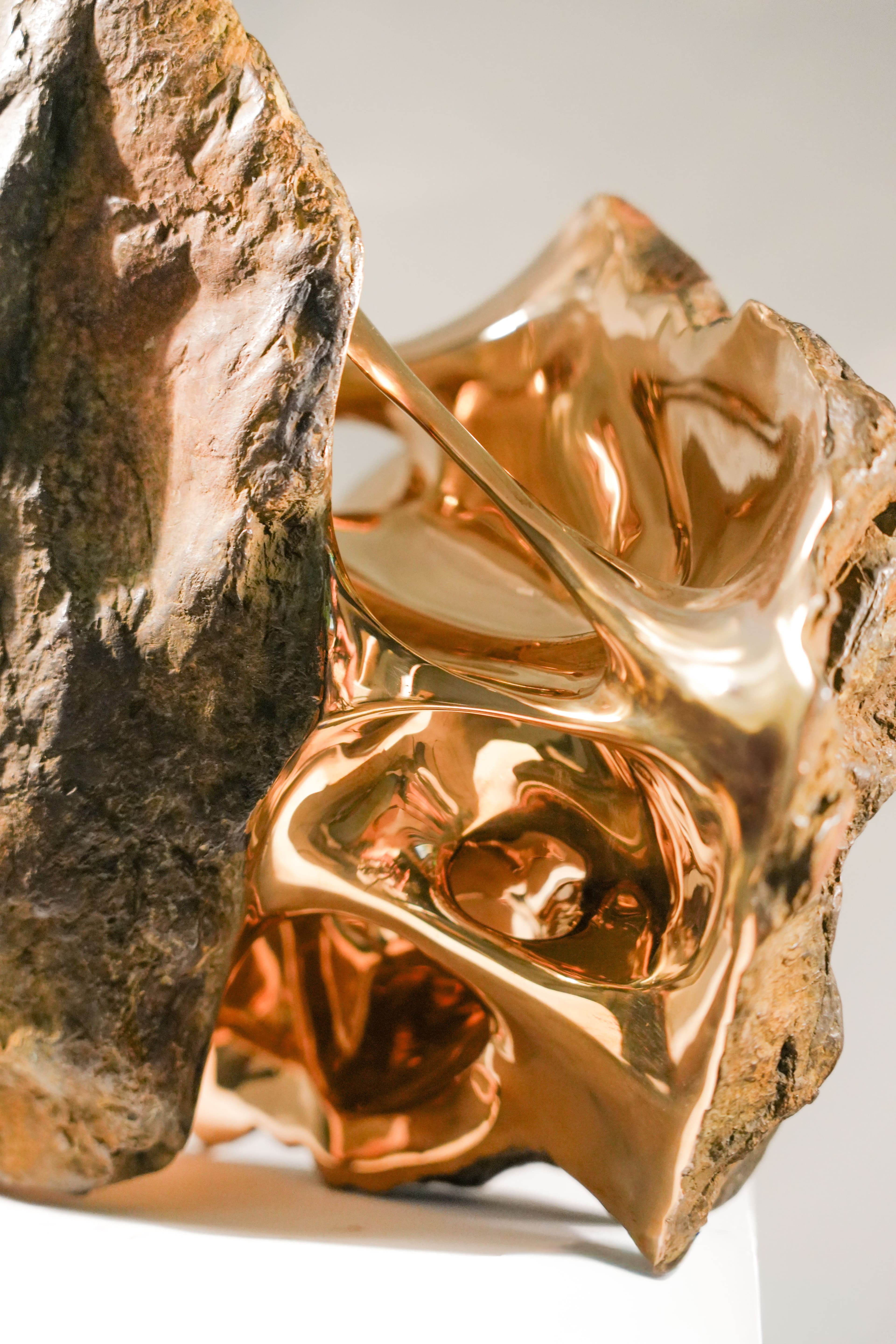 LA BELLE ENDORMIE - Romain Langlois - 4