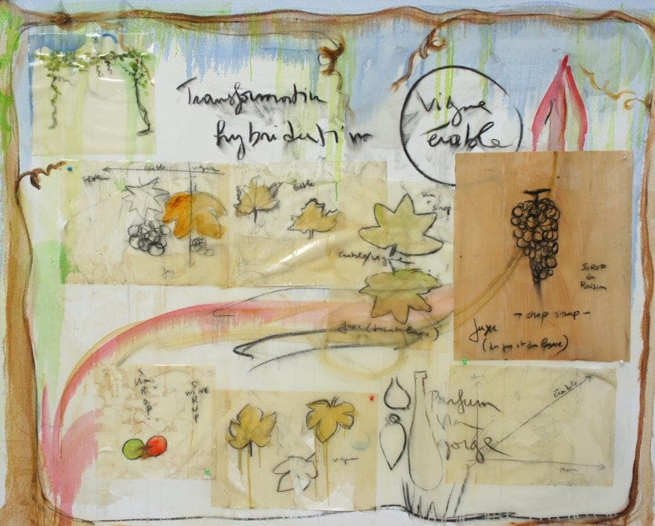 Vigne Erble - FABRICE HYBER