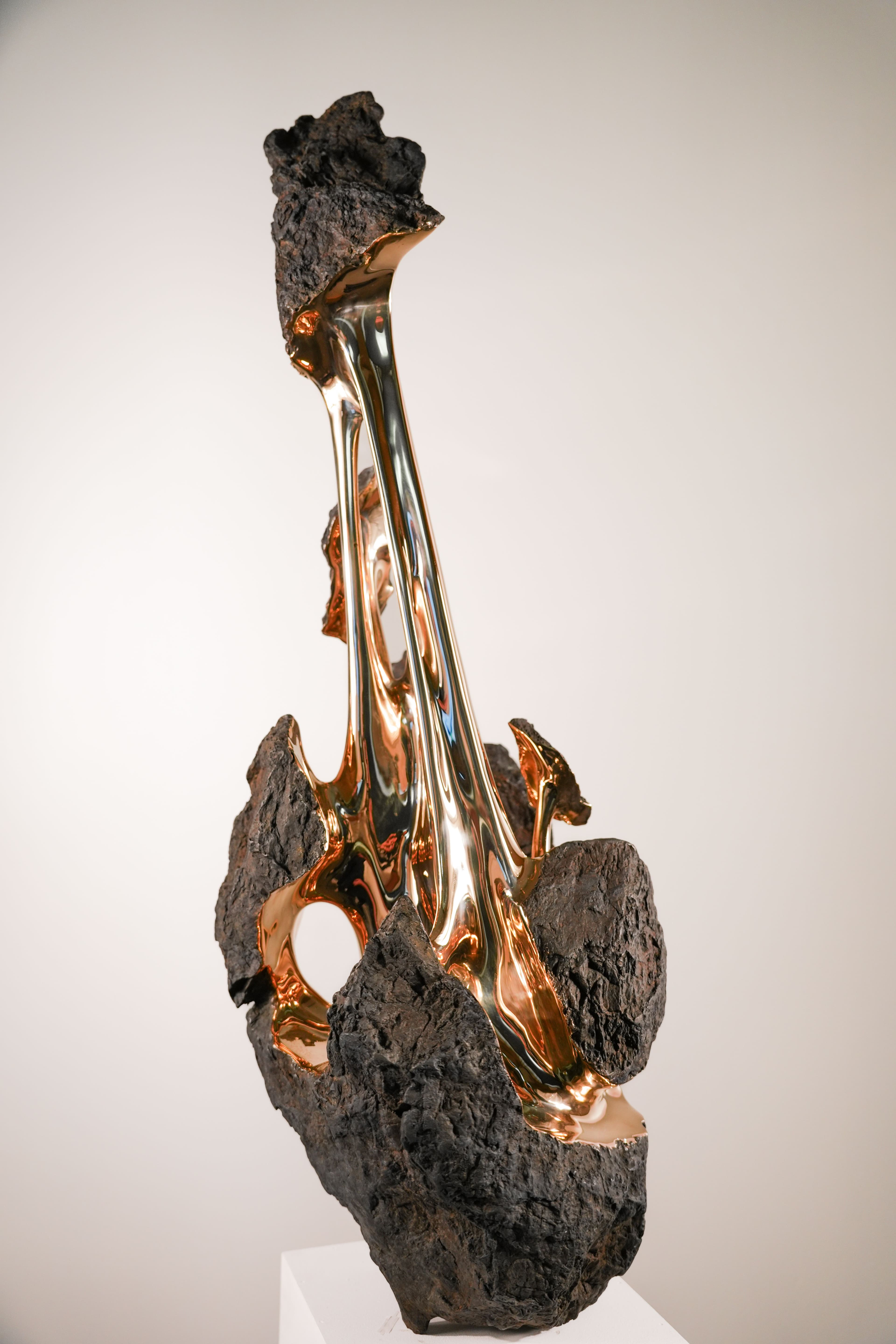 HYAKUTAKE - Romain Langlois - 2