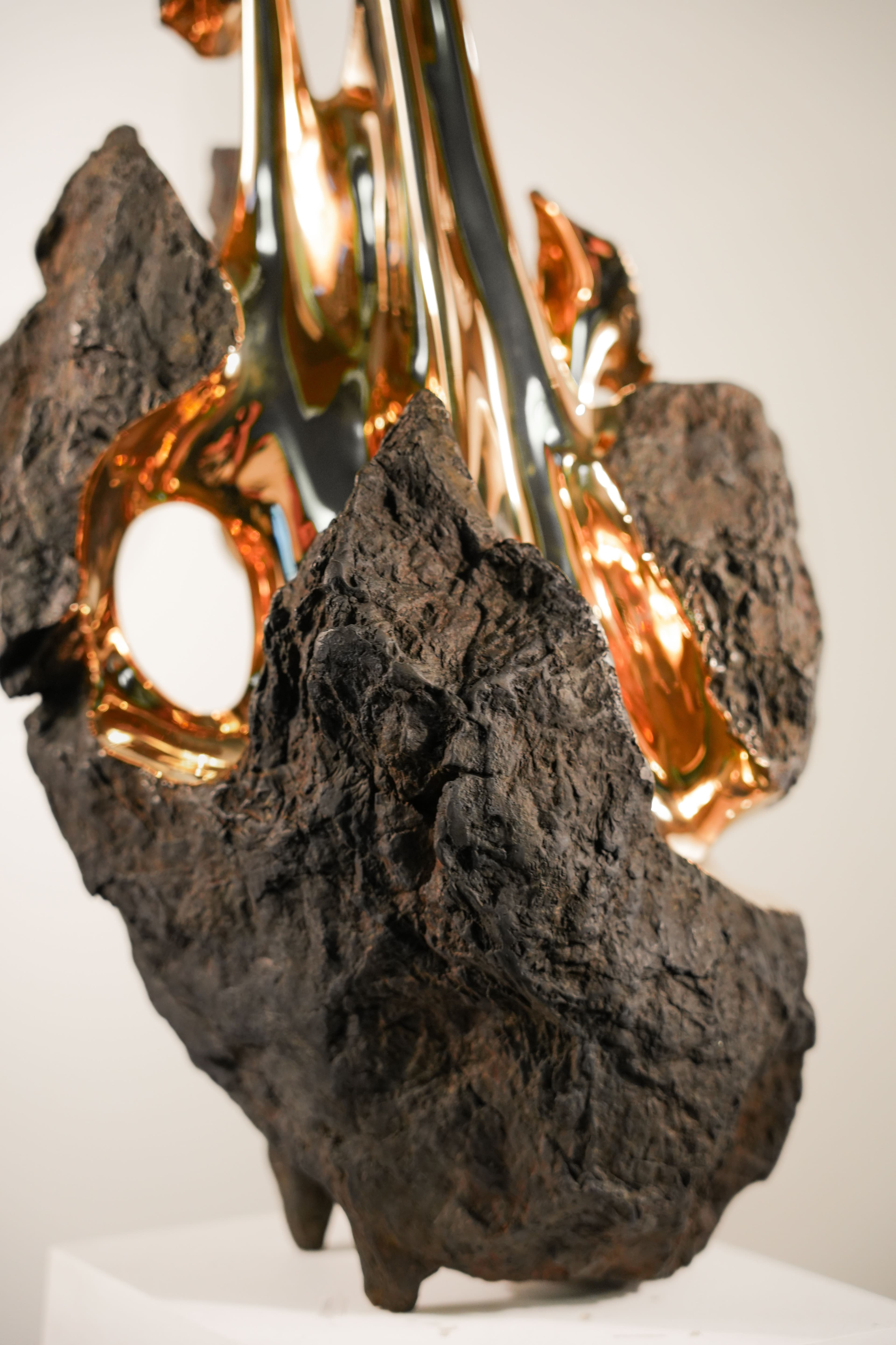 HYAKUTAKE - Romain Langlois - 5