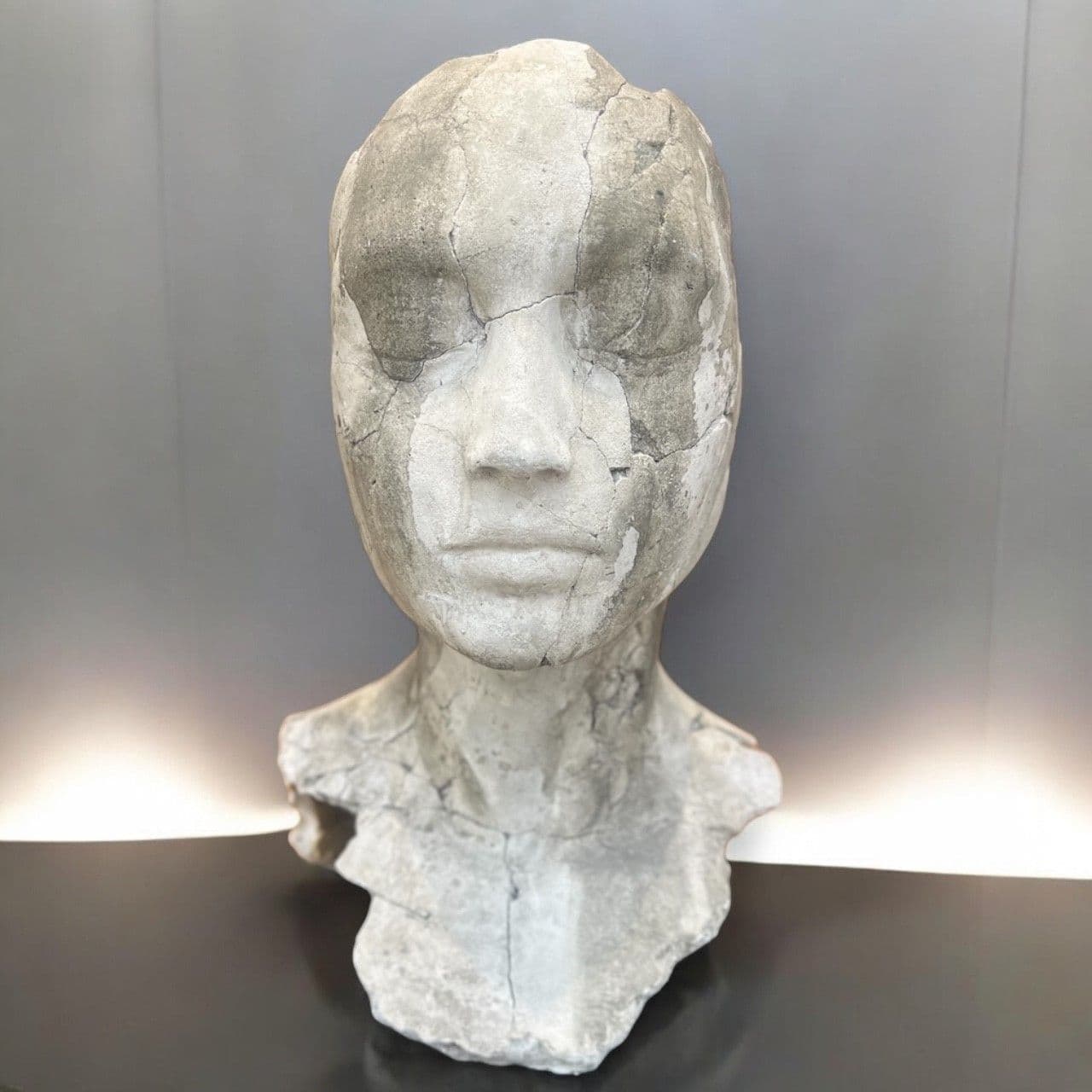 EXUVIA I - Tania Font - 1